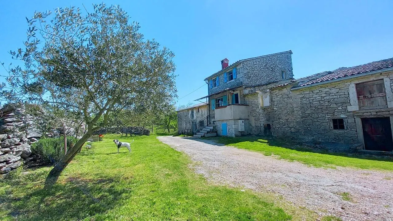 House Mlun Villa Buzet